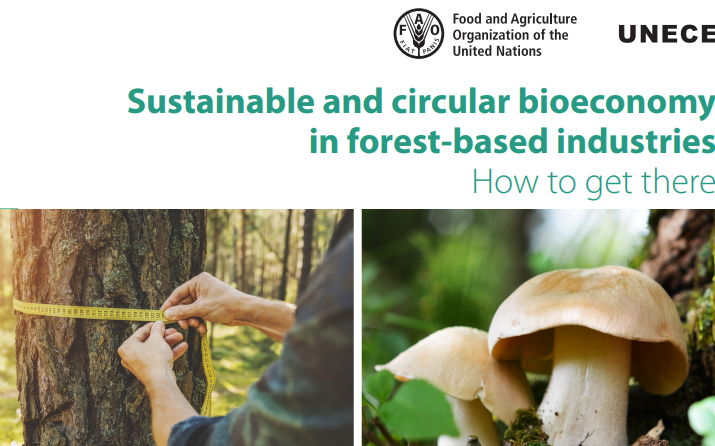 UNECE Report: Sustainable and Circular Bioeconomy
